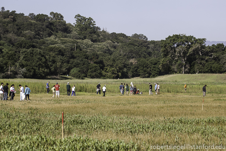 bioblitz2015